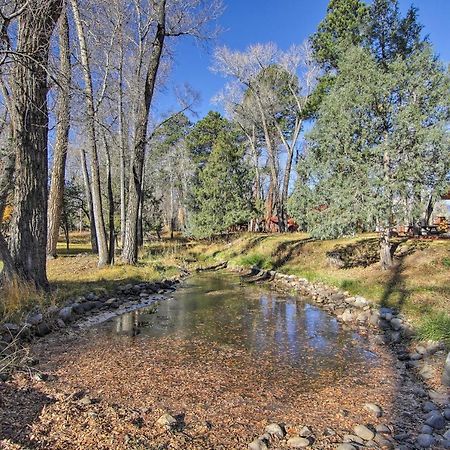 Cozy Colorado Cabin With Deck, Grill And River Access! Buena Vista Ngoại thất bức ảnh