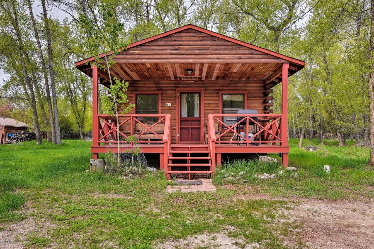 Cozy Colorado Cabin With Deck, Grill And River Access! Buena Vista Ngoại thất bức ảnh