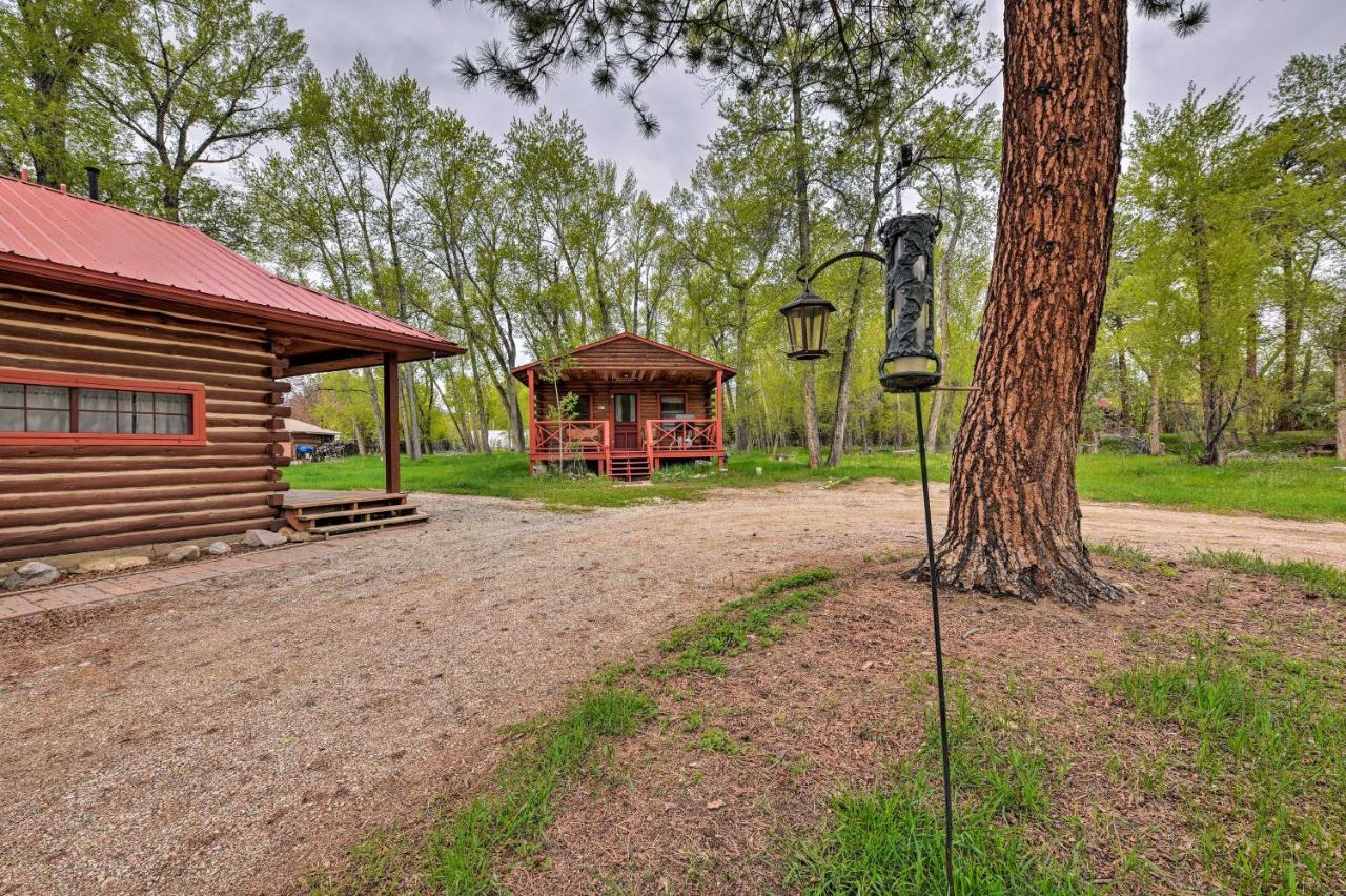 Cozy Colorado Cabin With Deck, Grill And River Access! Buena Vista Ngoại thất bức ảnh