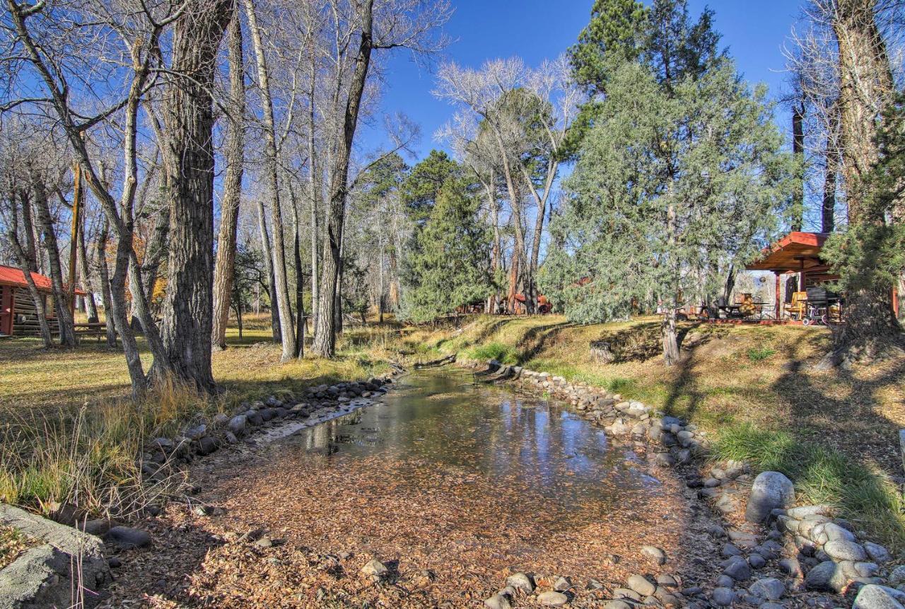 Cozy Colorado Cabin With Deck, Grill And River Access! Buena Vista Ngoại thất bức ảnh