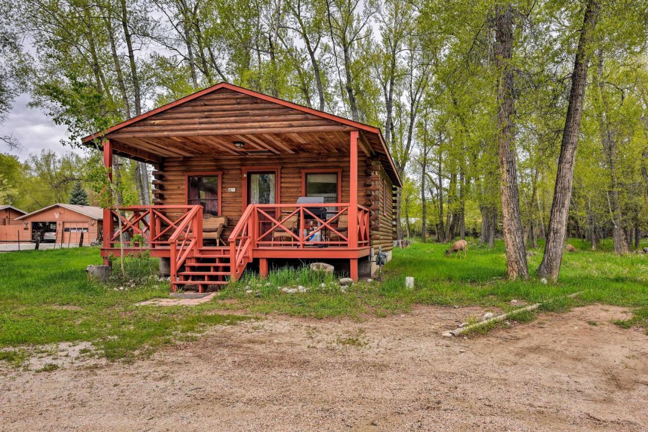 Cozy Colorado Cabin With Deck, Grill And River Access! Buena Vista Ngoại thất bức ảnh