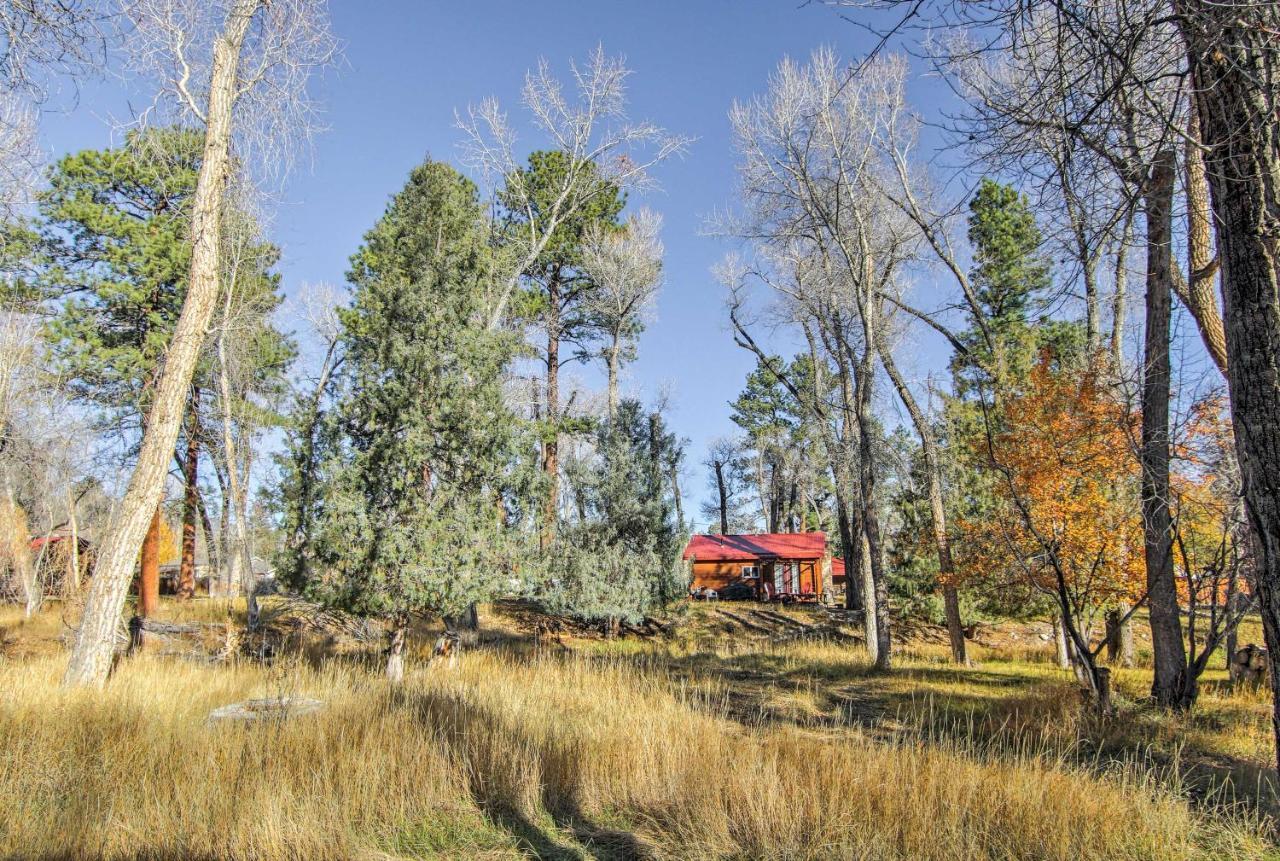 Cozy Colorado Cabin With Deck, Grill And River Access! Buena Vista Ngoại thất bức ảnh