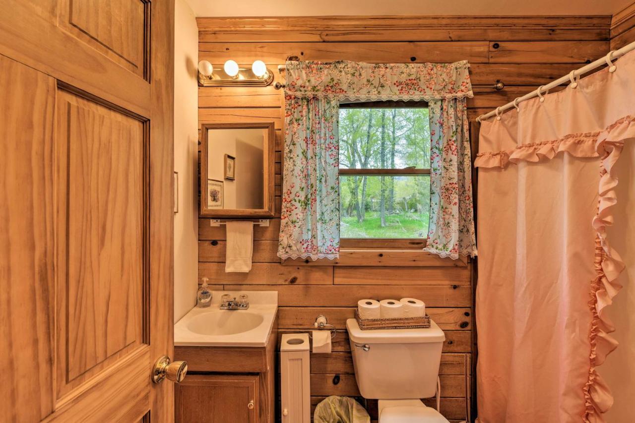 Cozy Colorado Cabin With Deck, Grill And River Access! Buena Vista Ngoại thất bức ảnh